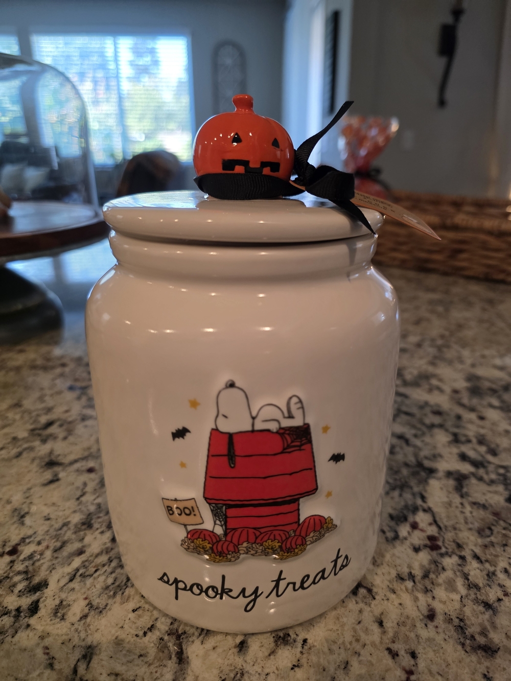 Peanuts X Rae Dunn Ceramic Canister with Pumpkin Lid - White & Orange